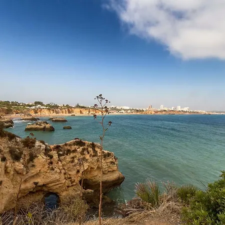 아파트 Fantastico Apartamento A 200m Da *